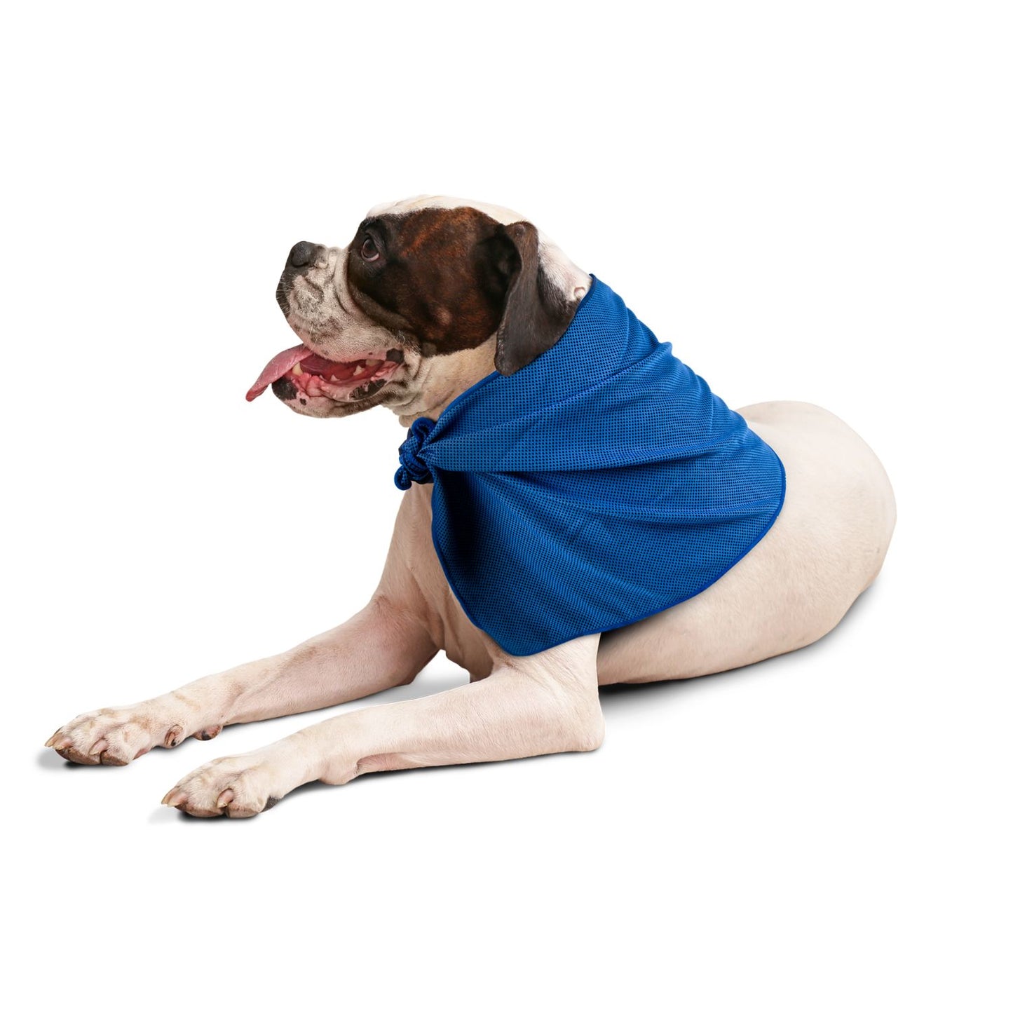 Chillaxing Pet Towel - DSL