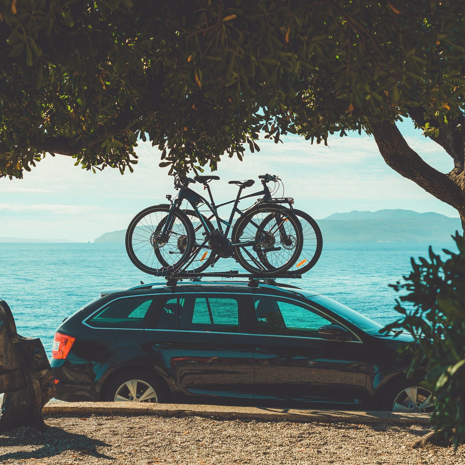 Car, cycling and motoring | DSL