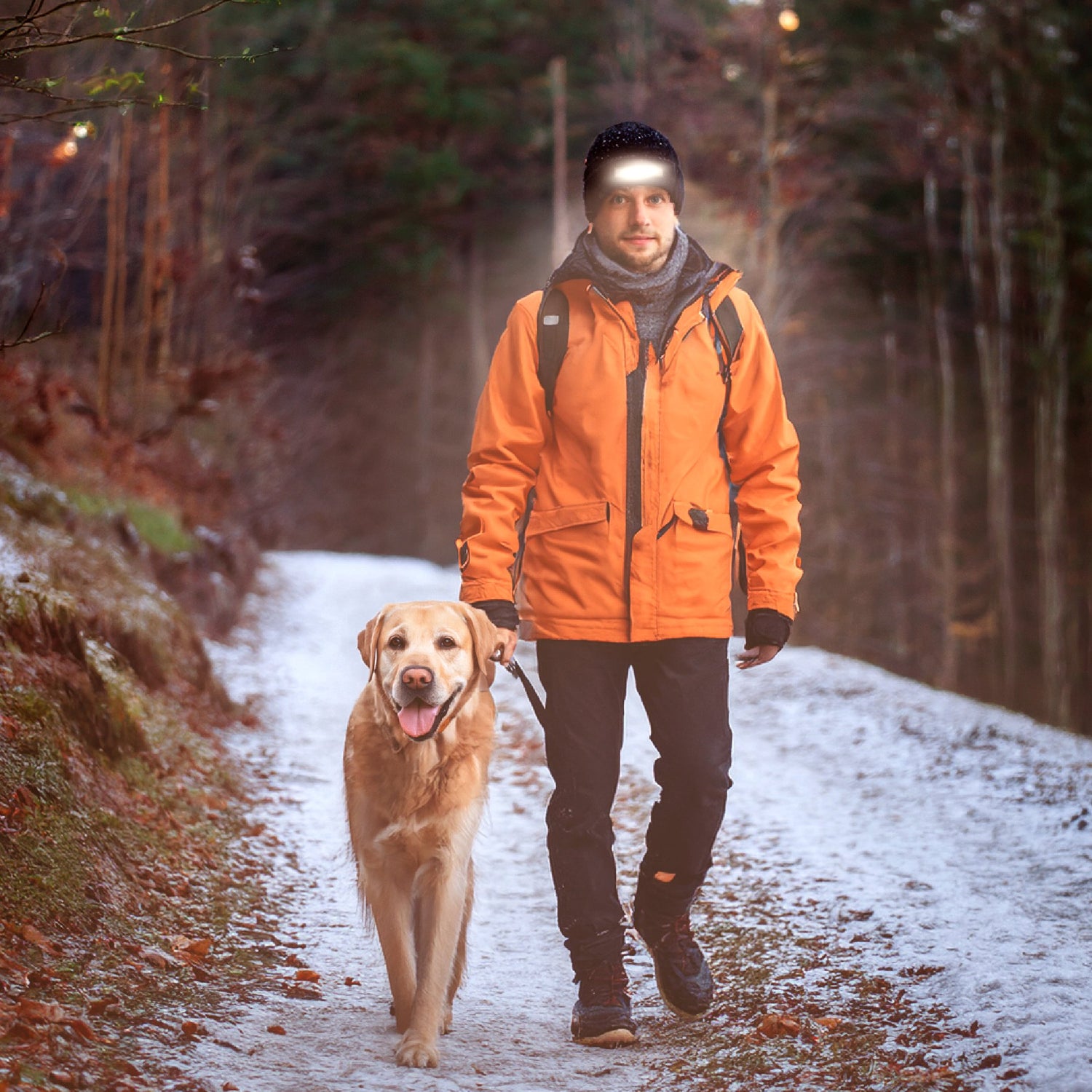 Winter essentials and warming