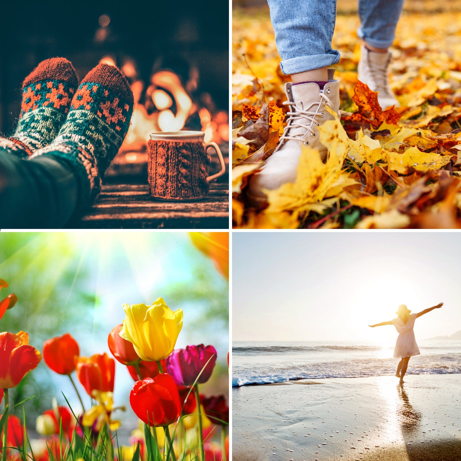 Seasonal and Occasions