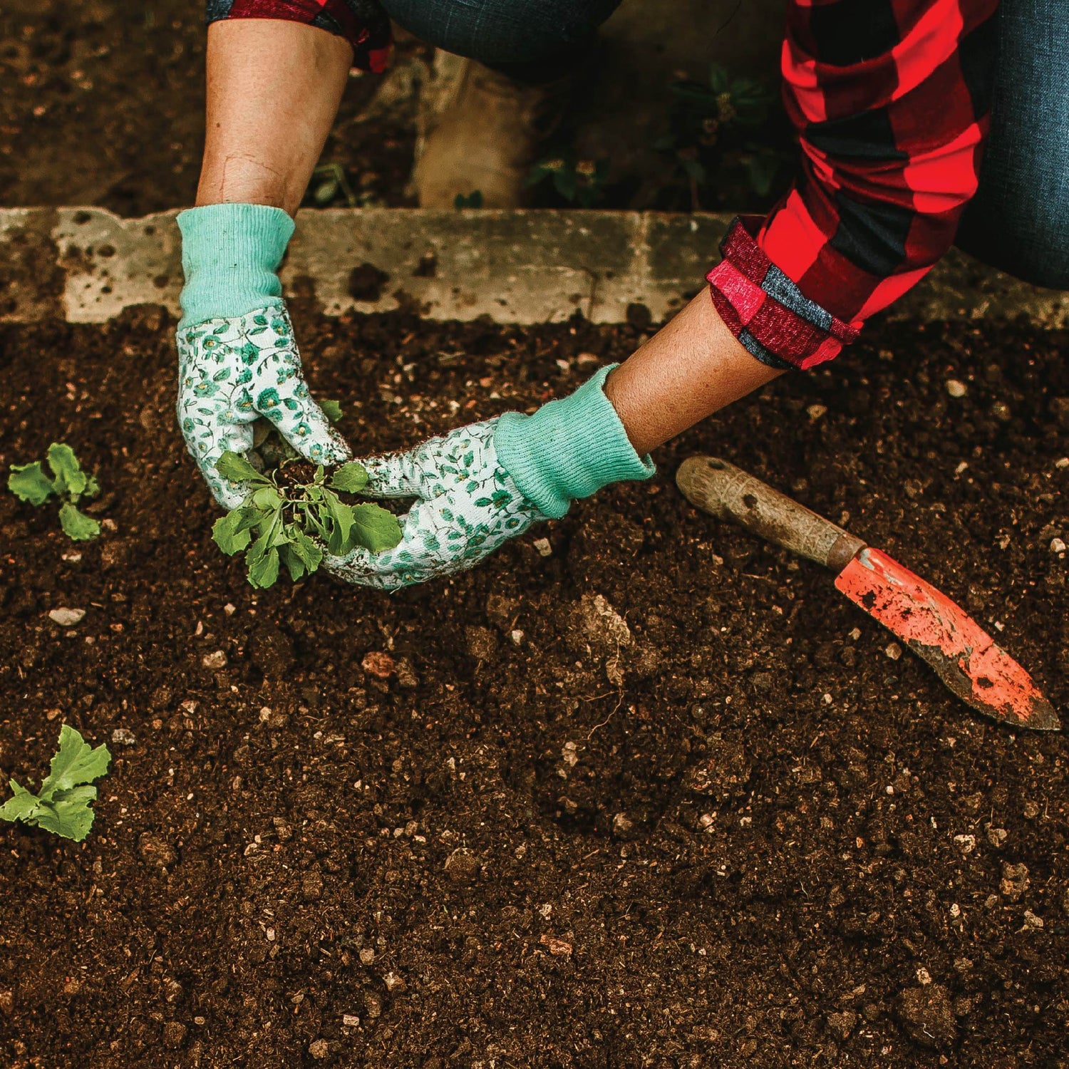 Garden tools and accessories