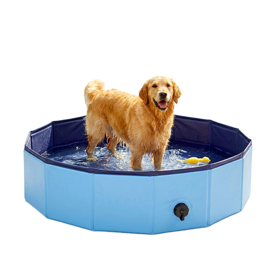 Foldable Dog Paddling Pool - PawPride