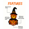 LED Colour Changing Ceramic Halloween Witch Pumpkin – Real Ceramic Halloween Decoration with Batteries Included – Indoor & Outdoor Use – 24x14cm Party Ornament - DSL