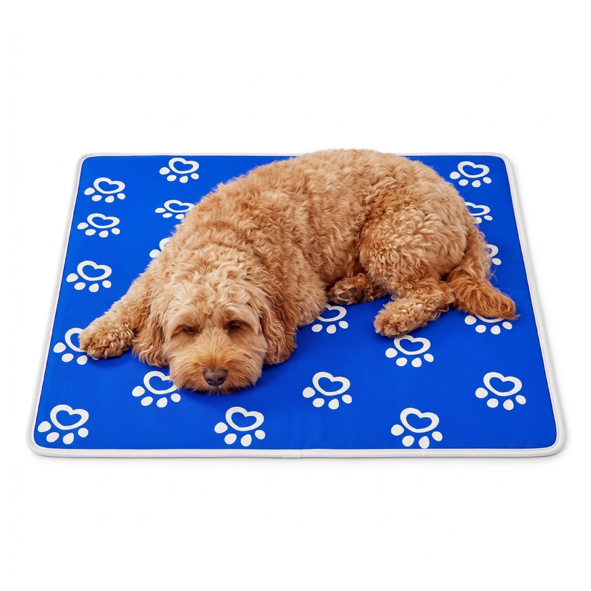 Pet Cooling Mat - PawPride
