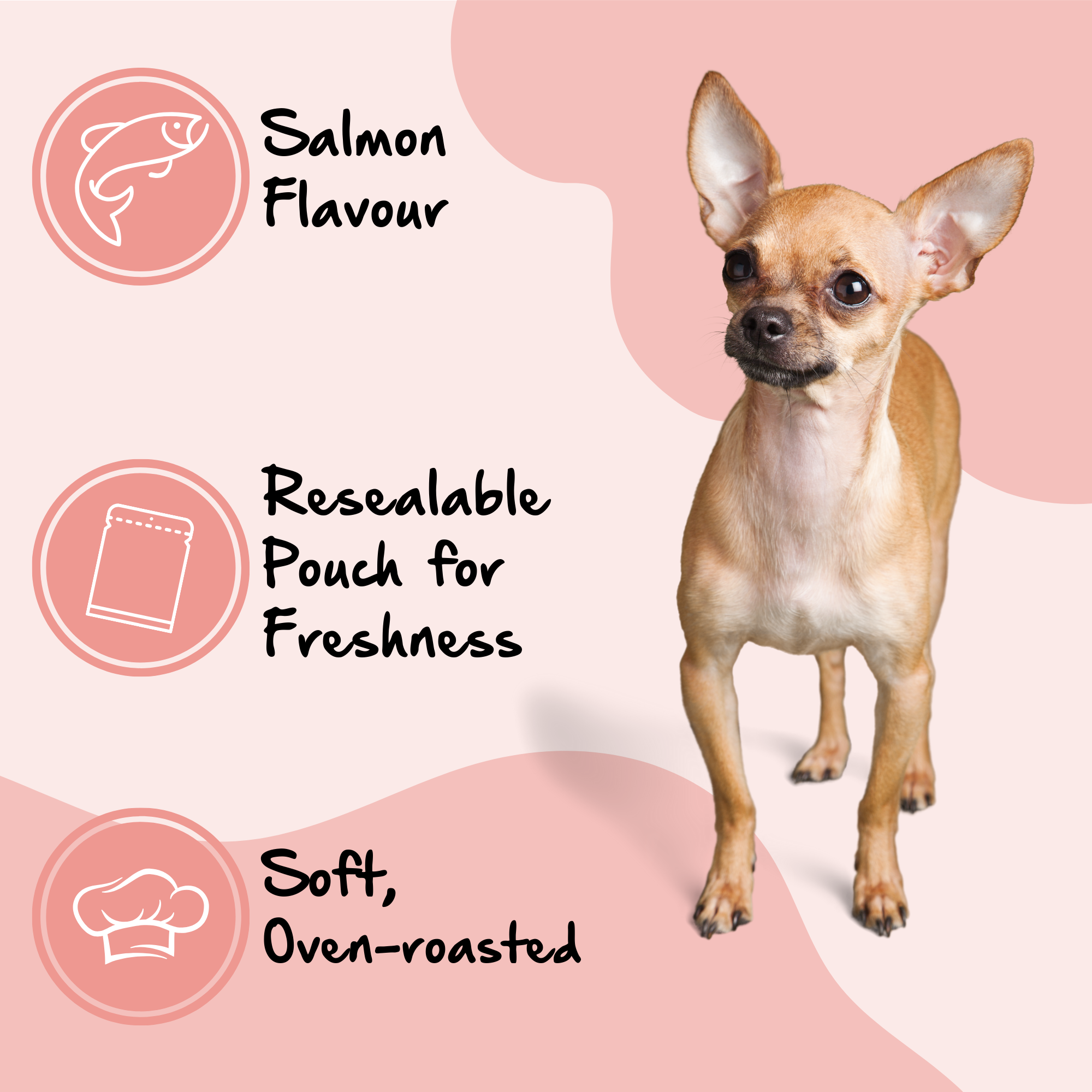 Salmon & Fish Skin Bites - Dog Treats from PawPride - DSL