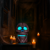 iN Halloween Spooky LED Skull - Colour Changing LED Lights - Spooky Sounds - Motion Detection - Halloween Decoration Size 19 x 8 x 30 cm - DSL