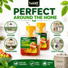 TuuLKIT Fruit Fly Trap, Ready to Use, Non-Toxic, 2 Pack