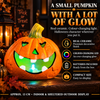 Halloween Decoration LED Pumpkin Head