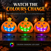 Halloween Decoration LED Pumpkin Head