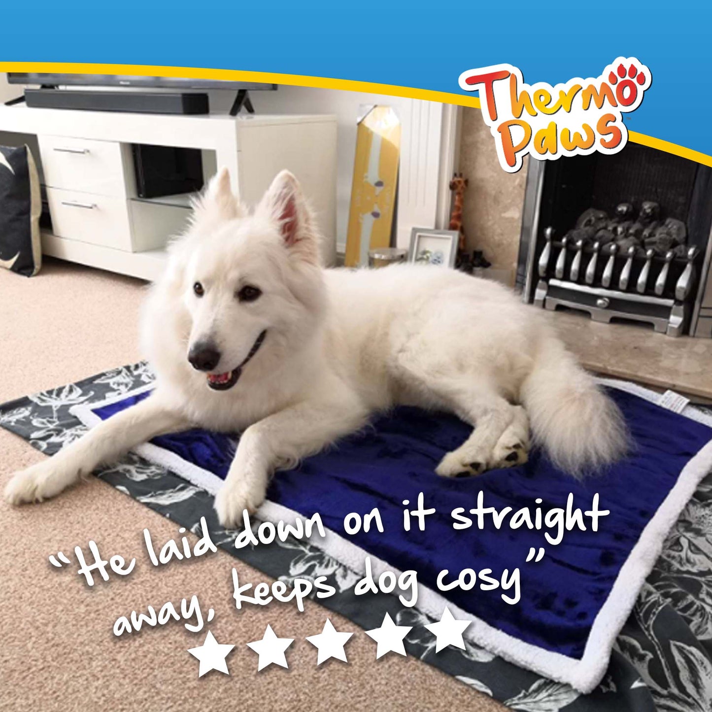 Luxury Pet Blanket (Blue) - DSL