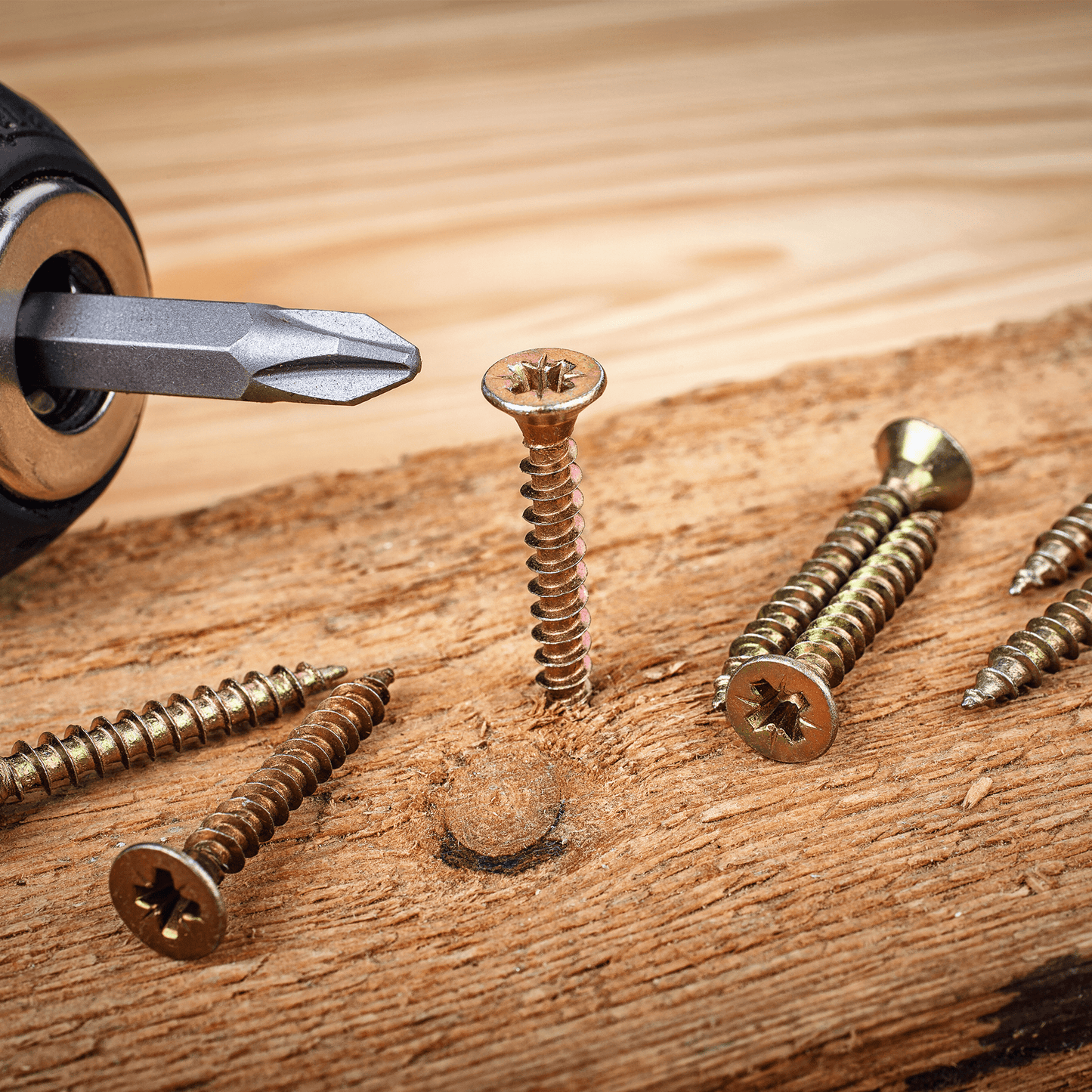 665 Piece Wood  Screw Assortment Set - TuuLKIT - DSL