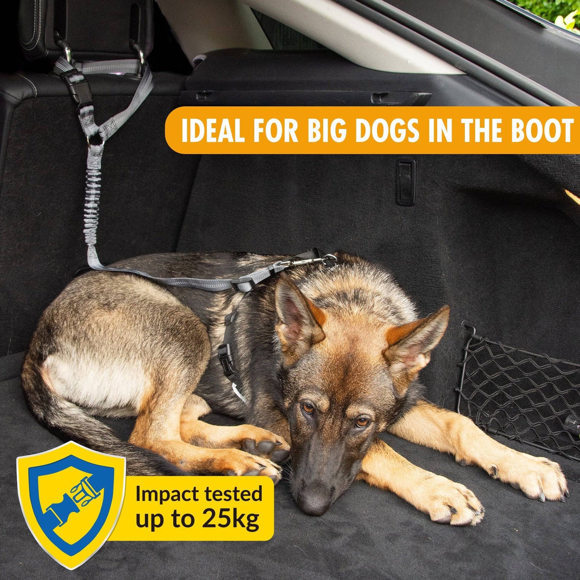 Multi-Purpose Pet Seat Belt - Pawpride - DSL