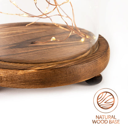 Copper Wire LED Dome Light - DSL