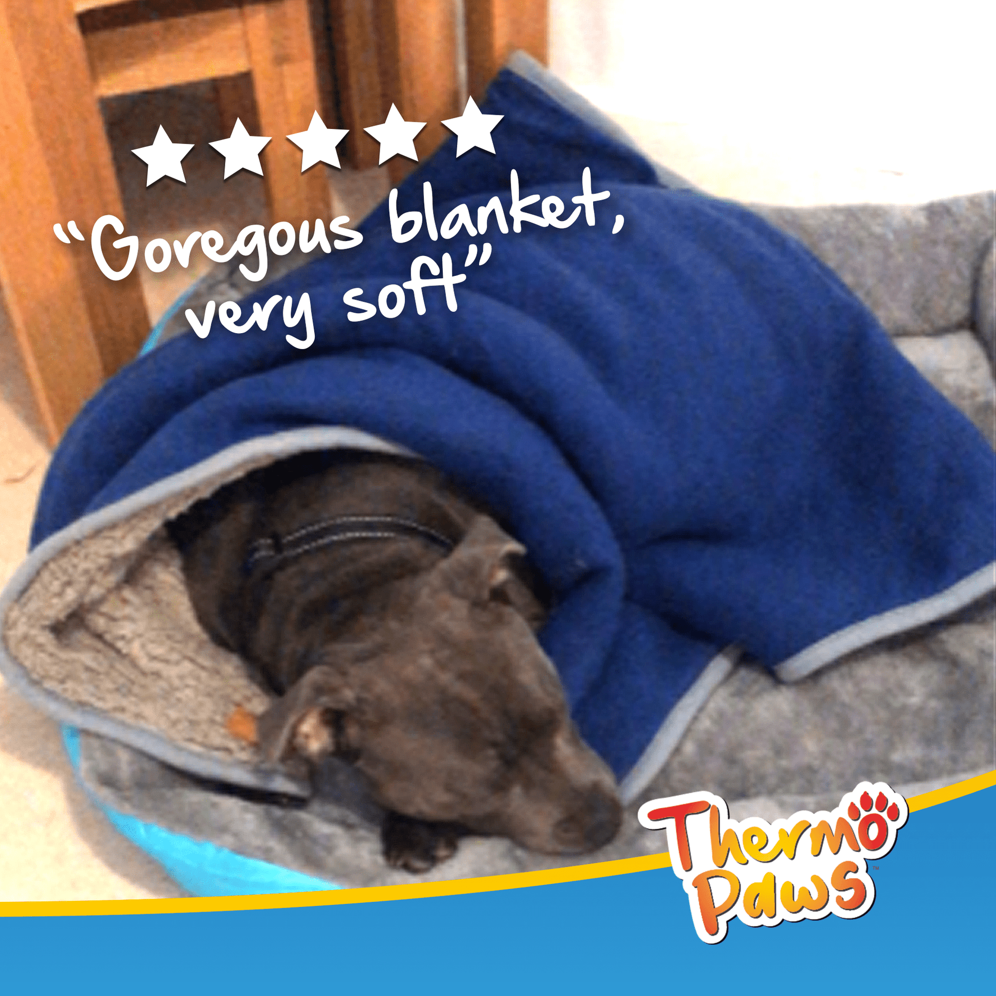 Super Soft Pet Blanket (Blue) - Pawpride - DSL