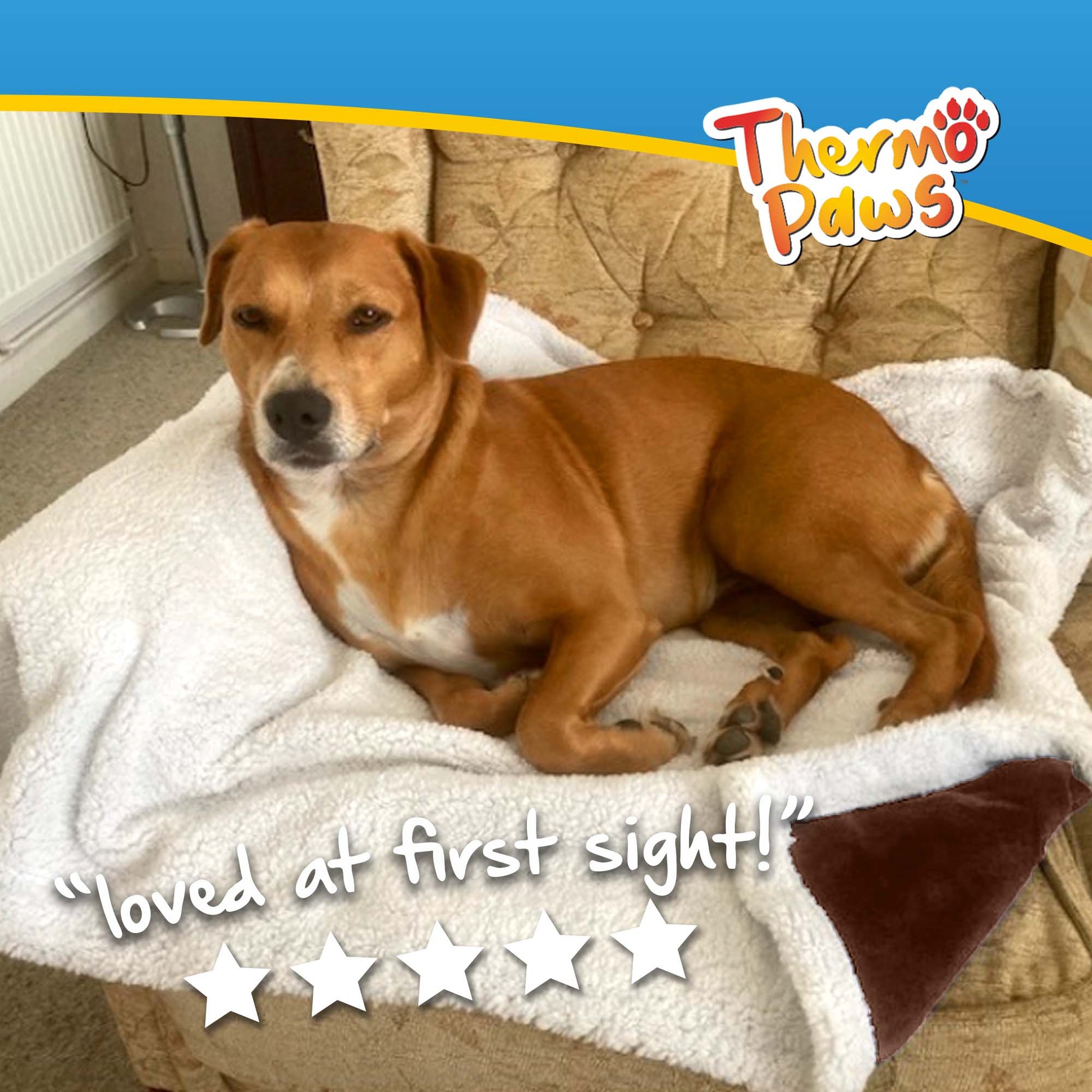 Luxury Pet Blanket (Brown) - DSL