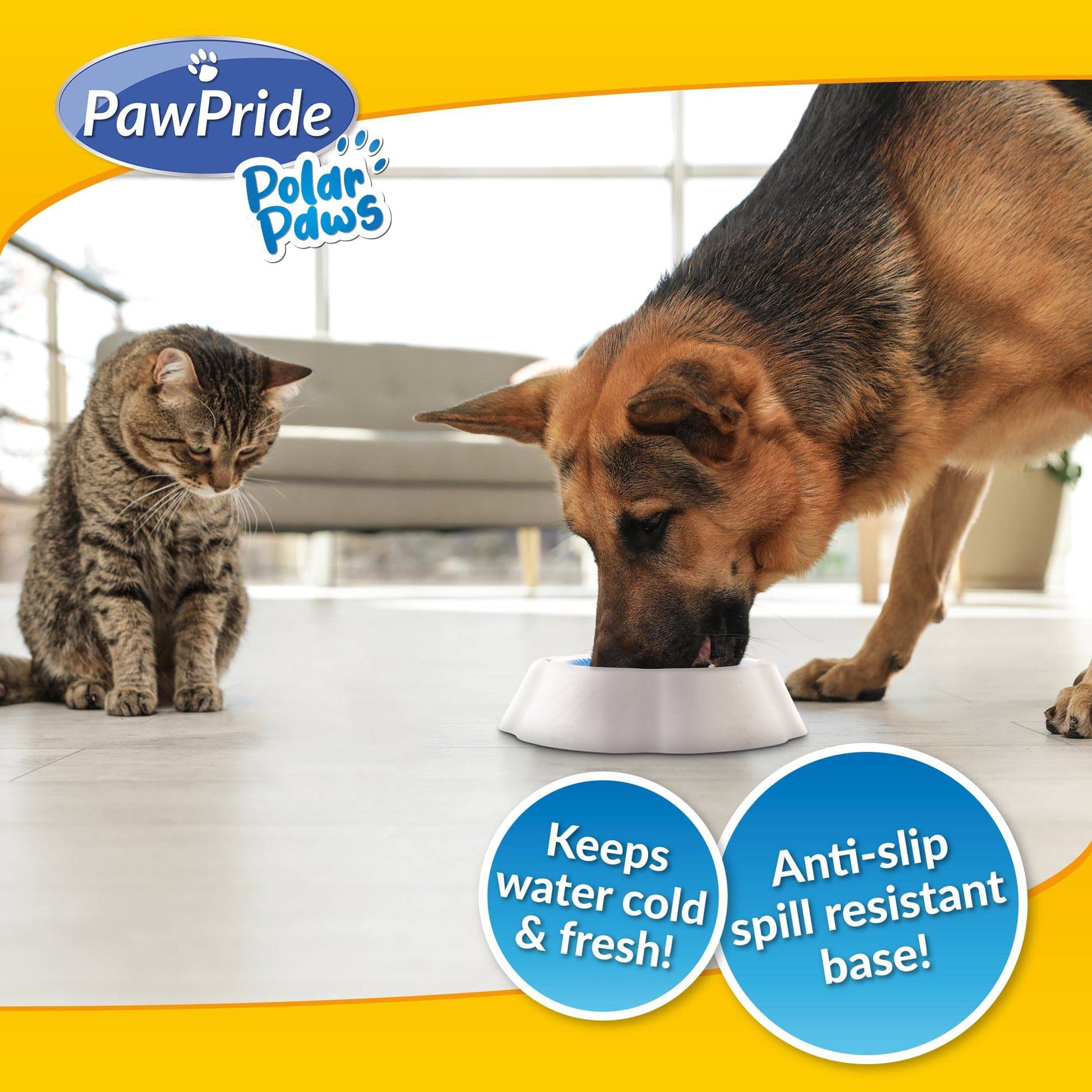 Pet Cooling Bowl - PawPride - DSL