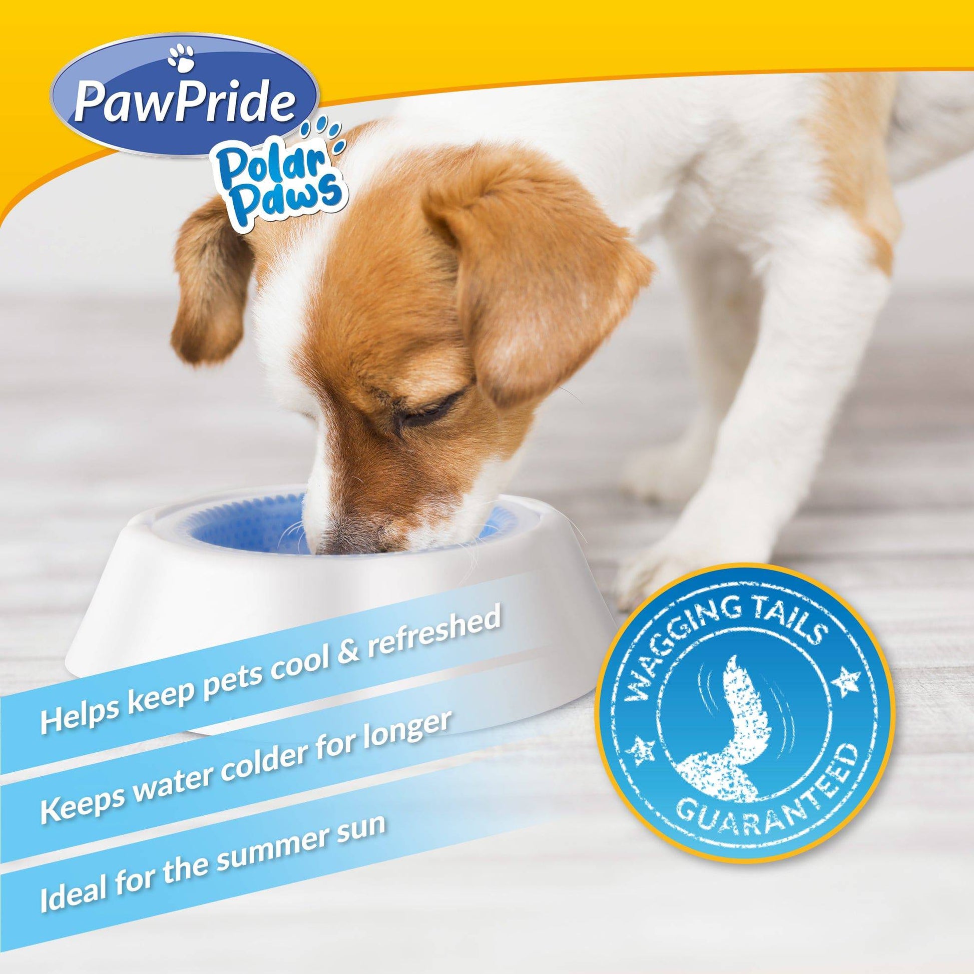 Pet Cooling Bowl - PawPride - DSL