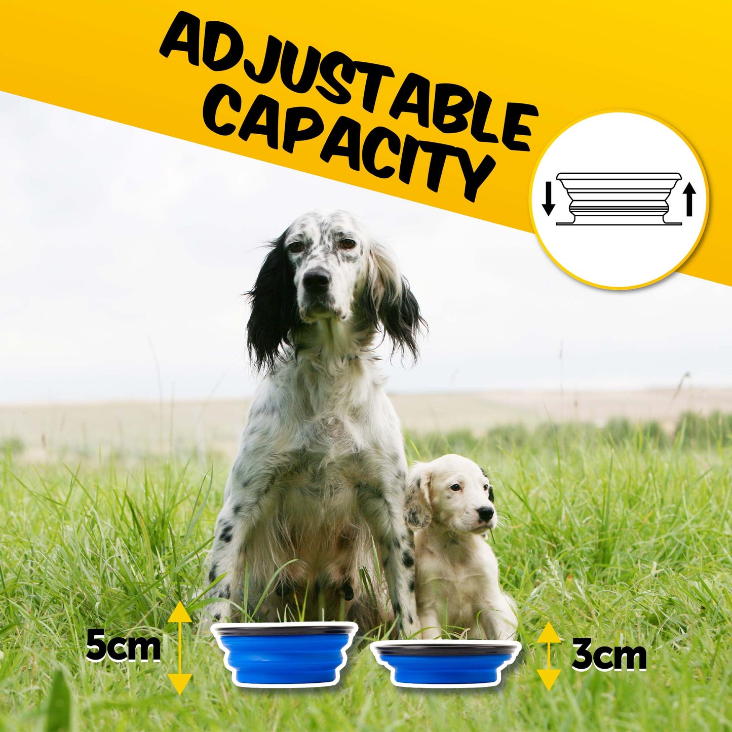 2-in-1 Pet Water Bottle and Food Container - PawPride - DSL