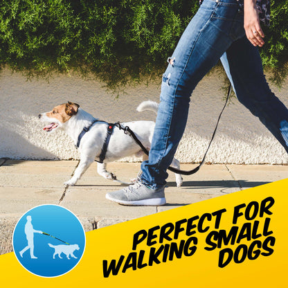 Super Stretch Dog Lead - Pawpride - DSL