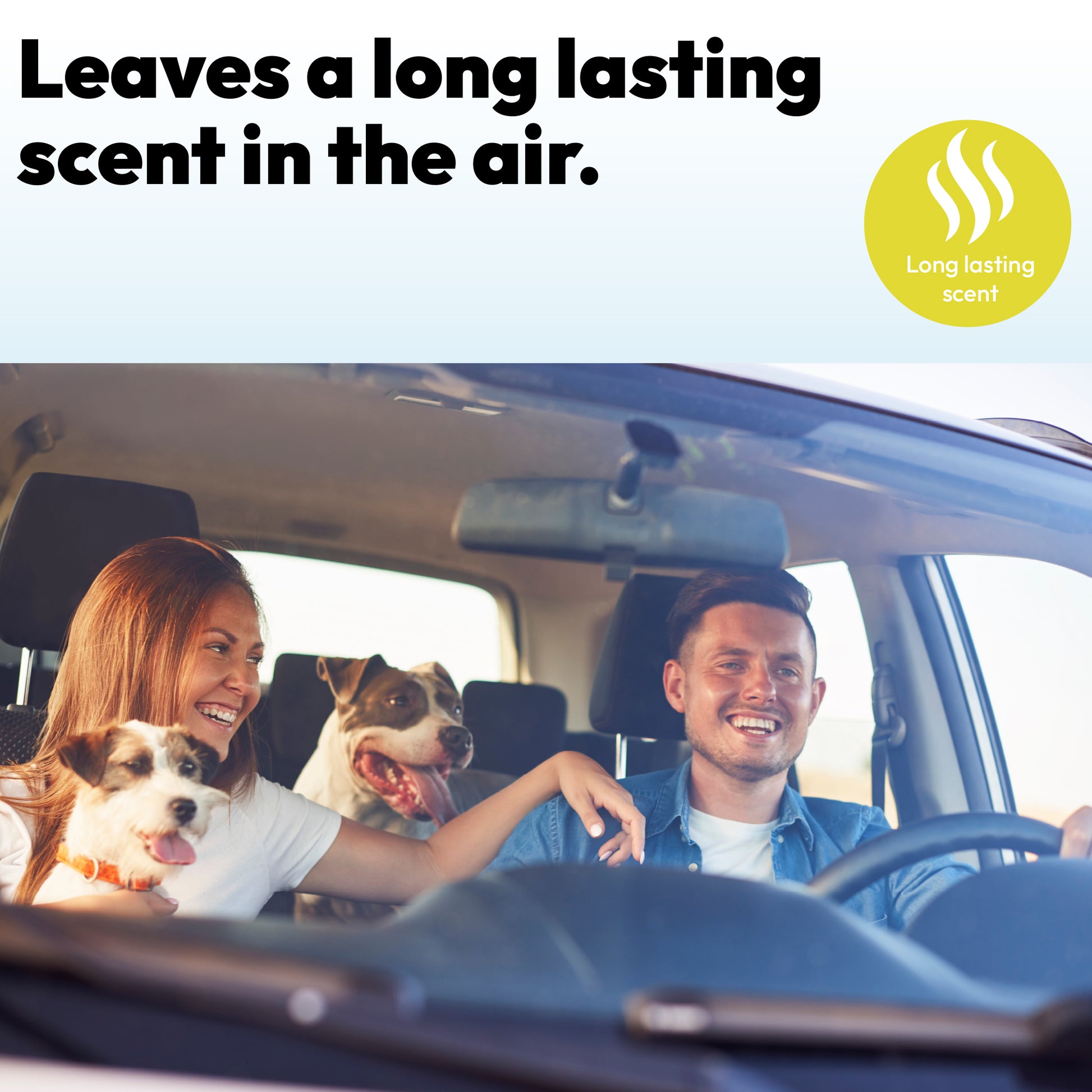 Air Freshener (Lemon Sherbet) - TruEssence - DSL