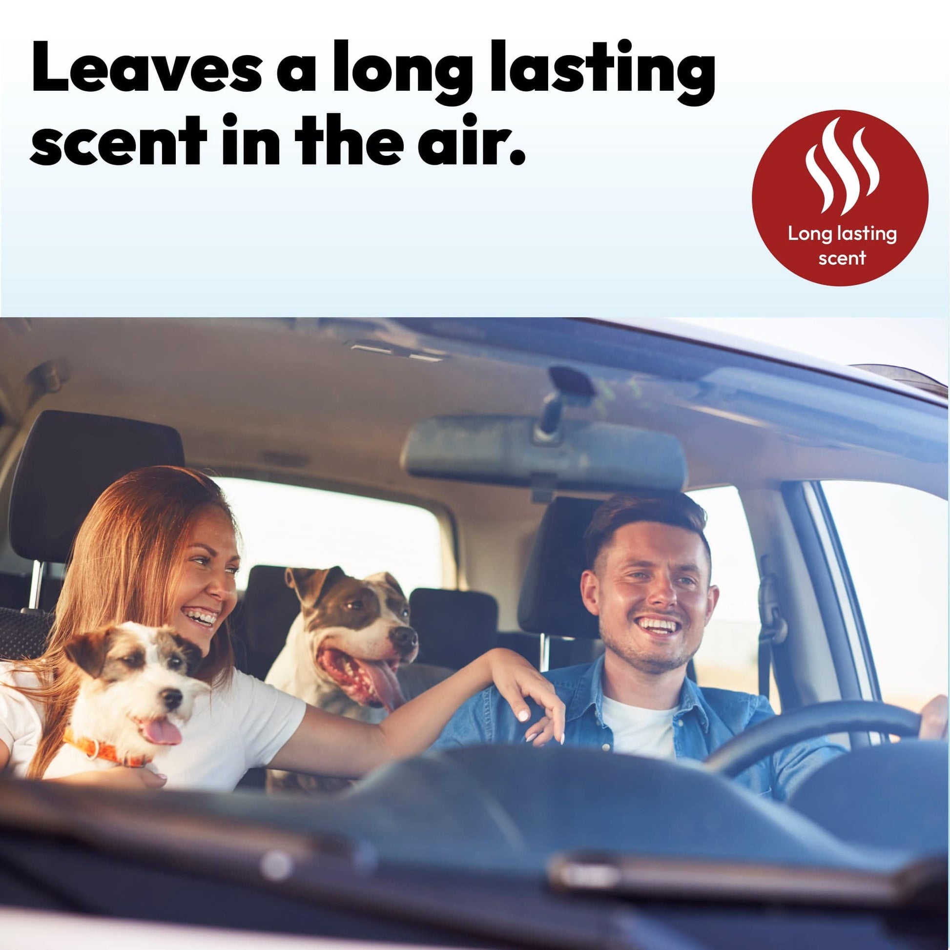 Air Freshener (Cherry Bomb) - TruEssence - DSL