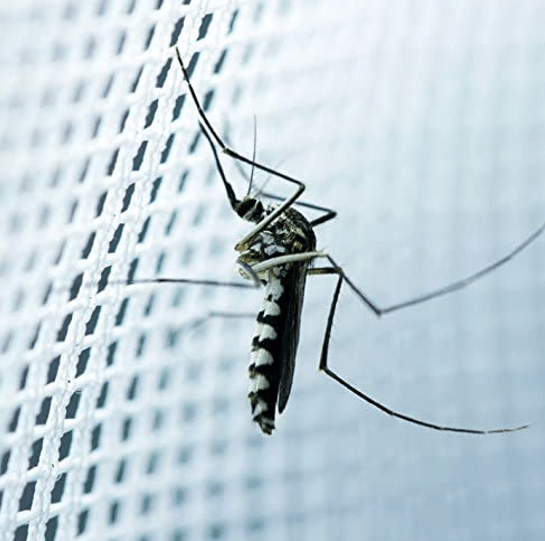 Fly & Bug Door Curtain - Spear & Jackson - DSL