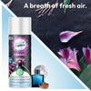 Designer Air Freshener (Fabulust) - TruEssence - DSL