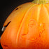 LED Pumpkin Head - DSL